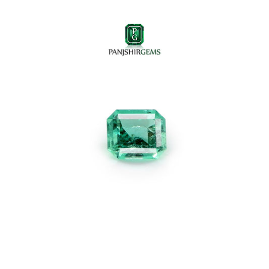 Panjshir Emerald - 0.69  carats